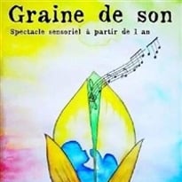 Graine de son