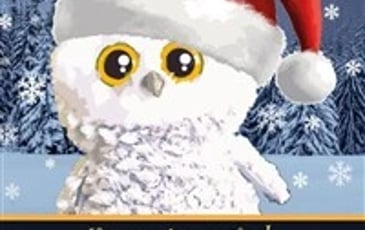 Le Noël d'Hibou Chouchou