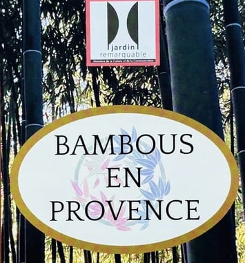 Bambous en Provence-À la découverte d'un jardin remarquable