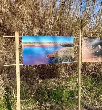 Les balades photographiques de l'étang de Berre