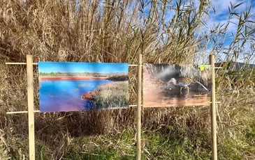 Les balades photographiques de l'étang de Berre