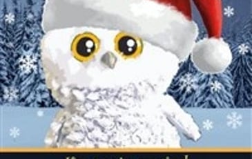 Le Noël d'Hibou Chouchou