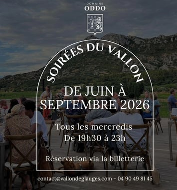 Les Soirées DJ du Vallon