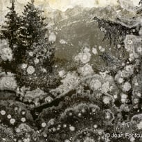 Trauma de Joan Fontcuberta