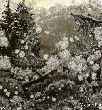 Trauma de Joan Fontcuberta