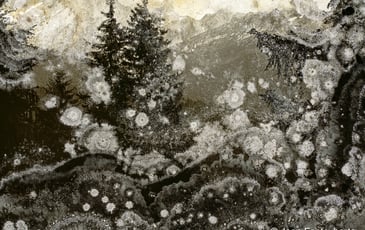 Trauma de Joan Fontcuberta