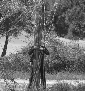 Tisser les Imaginaires