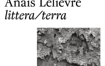 Anaïs Lelièvre, Littera/Terra