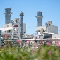Immersion au cœur de la biodiversité de la centrale EDF thermique CCG de Martigues