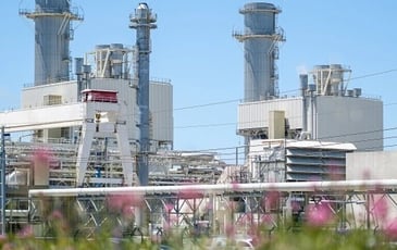 Immersion au cœur de la biodiversité de la centrale EDF thermique CCG de Martigues