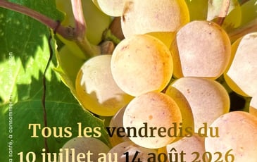 Les Soirées