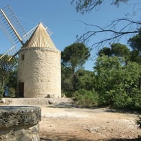 Visite des moulins à vent