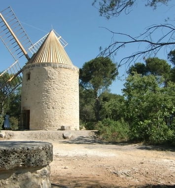 Visite des moulins à vent