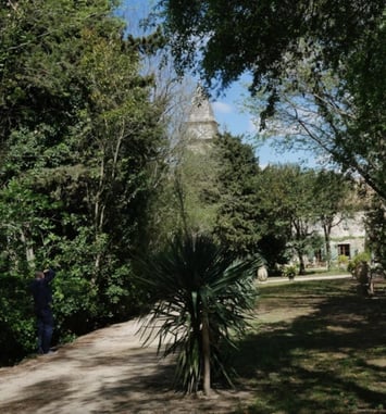 Découverte des jardins d'Yvonne