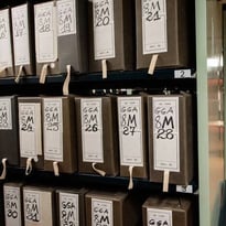 Les Archives nationales d'outre-mer ont 60 ans ! Visites guidées des coulisses
