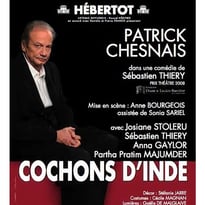 Cochons d'Inde