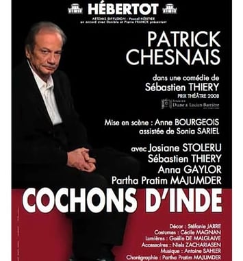 Cochons d'Inde