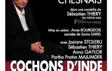 Cochons d'Inde