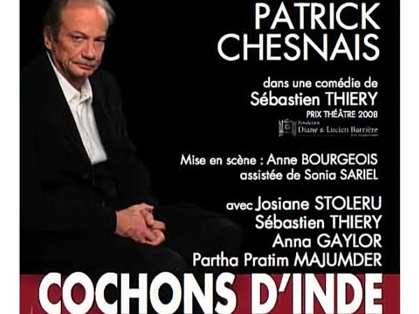 Cochons d'Inde