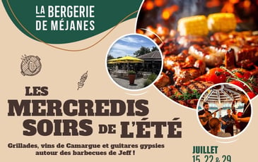 Les Mercredis Soirs de l'Été