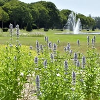 Du Parc de la Magalone au Parc Borély Visite balade « Trame verte, Patrimoine végétal »