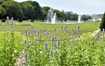 Du Parc de la Magalone au Parc Borély Visite balade « Trame verte, Patrimoine végétal »