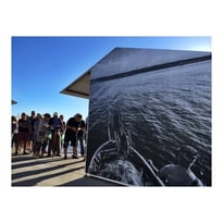 Exposition, Les gestes de la mer