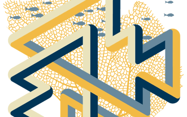 Hyperboles