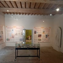 La Galerie de la légendaire Tarasque vous dévoile ses secrets