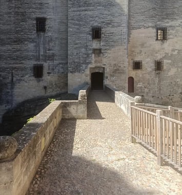 Château de Tarascon : Visites flash