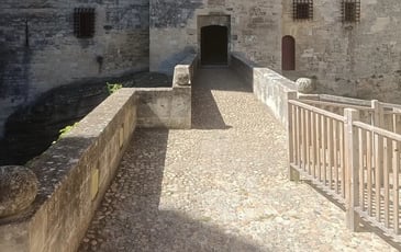 Château de Tarascon : Visites flash