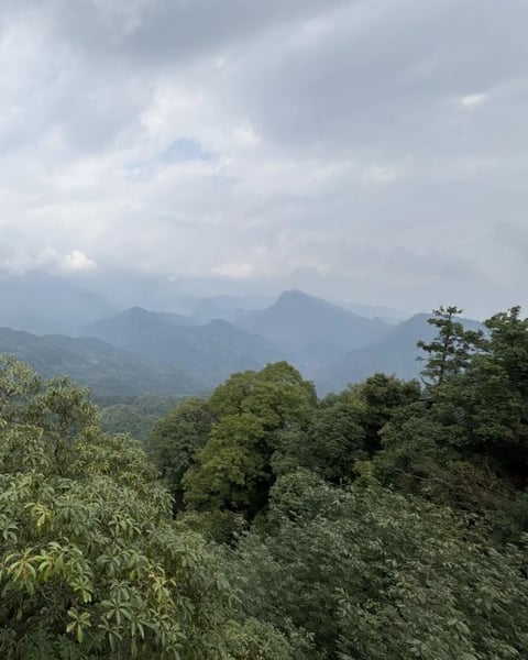 Les signaux faibles