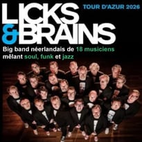 Licks et Brain