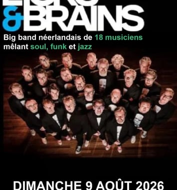 Licks et Brain