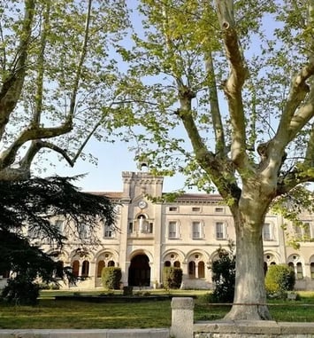 L'école du Petit Castelet Visites commentées