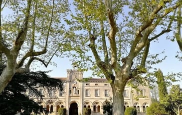 L'école du Petit Castelet Visites commentées