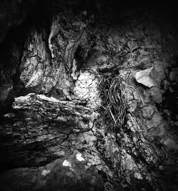 Les Âmes de la Terre