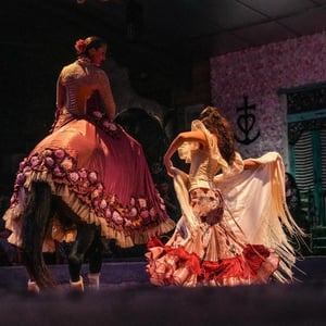 cheval danseuse