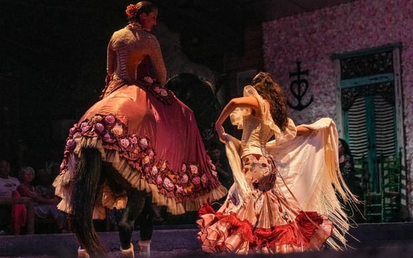 cheval danseuse