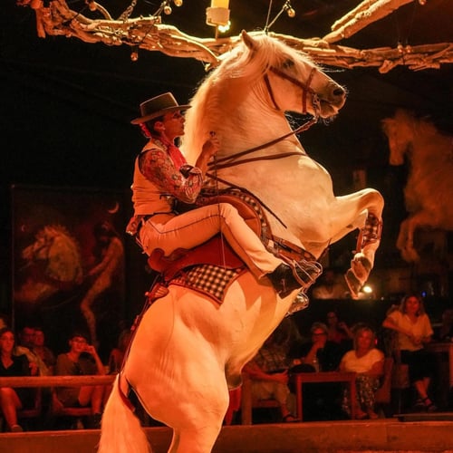 cheval Camargue cabré