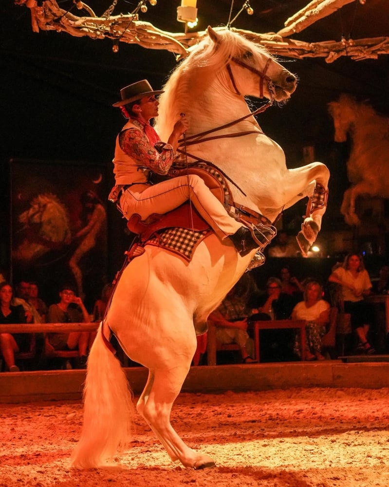 cheval Camargue cabré