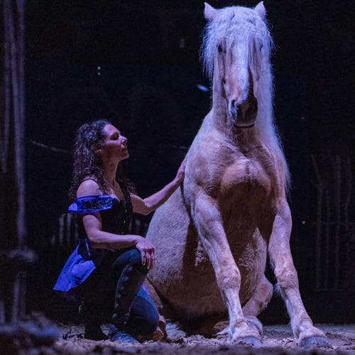 cheval assis