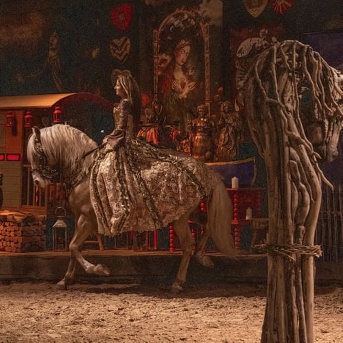 cheval palomino