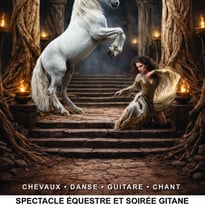 Spectacle équestre Anatilya