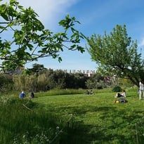 Animations au jardin Levat : Une journée de découverte et de convivialité