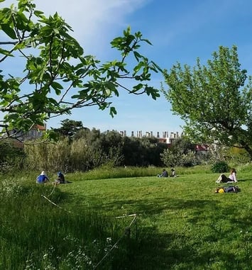 Animations au jardin Levat : Une journée de découverte et de convivialité