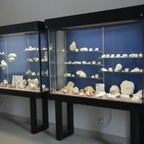 Visite commentée du Musée Urgonia