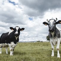 Nourrir l’humanité c’est un métier