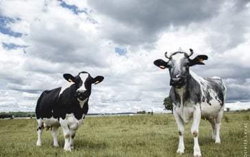 Nourrir l’humanité c’est un métier