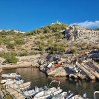 Randonnée Patrimoine en danger : les parcs nationaux et leur préservation